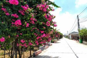 Tuổi trẻ Thường Tín xây dựng hàng trăm “Tuyến đường hoa thanh niên” làm đẹp cảnh quan môi trường