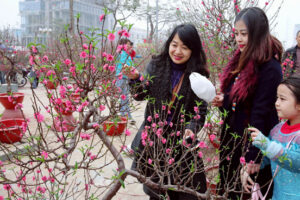 Bảo đảm cho Nhân dân đón Tết vui tươi, lành mạnh, an toàn, tiết kiệm