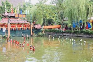 Bảo tồn nghệ thuật múa rối nước ở huyện Thạch Thất