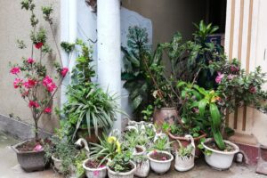 Quận Cầu Giấy: Tạo sự lan tỏa từ cuộc thi “Giữ gìn ngõ, phố xanh, sạch, đẹp”