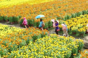 Huyện Mê Linh: Nâng cao đời sống văn hóa trên cơ sở phát huy những giá trị truyền thống