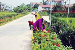 Huyện Sóc Sơn ngày càng xanh – sạch – đẹp