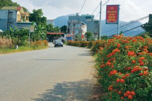 Phụ nữ Thạch Thất tích cực học tập, lao động sáng tạo, xây dựng gia đình văn minh, hạnh phúc