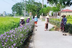 Phụ nữ huyện Thanh Oai chung tay giữ gìn môi trường  xanh, sạch, đẹp
