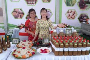 Làng tương Dục Nội, xã Việt Hùng, huyện Đông Anh