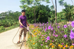 Miền quê Tuy Lai khởi sắc