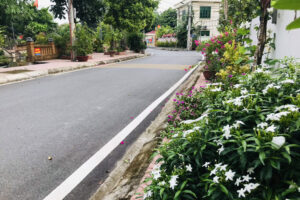 Những “tuyến đường nở hoa” làm thay đổi diện mạo miền quê Tháp Thượng