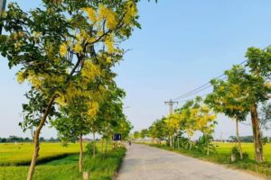 Hát Môn – ngày thêm xanh, sạch, đẹp