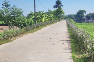 Hội LHPN Mê Linh xã hội hóa trên 3 tỷ đồng xây dựng đoạn đường tự quản, cải tạo sân chơi, điểm sinh hoạt cộng đồng xanh – sạch – đẹp