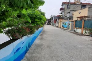 Chung tay làm đẹp cảnh quan miền quê Thanh Oai