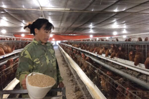 Hội Phụ nữ huyện Thường Tín tích cực xây dựng gia đình văn minh, hạnh phúc