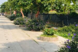Hiệu quả hoạt động phong trào phụ nữ quận Hà Đông năm 2021   