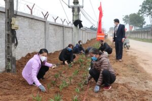 Phụ nữ huyện Chương Mỹ: Nhiều hoạt động ý nghĩa đầu Xuân Nhâm Dần