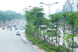 Hà Nội triển khai “Tết trồng cây đời đời nhớ ơn Bác Hồ” Xuân Nhâm Dần 2022