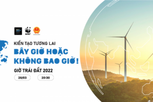Hà Nội hưởng ứng Giờ Trái đất năm 2022