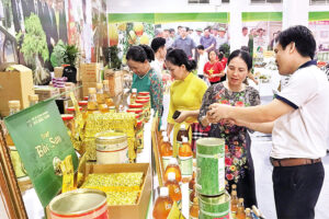Giới thiệu sản phẩm OCOP gắn với du lịch làng nghề