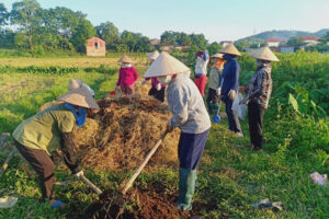 Hội phụ nữ Sóc Sơn góp phần xây dựng huyện ngày càng sáng, xanh, sạch, đẹp   
