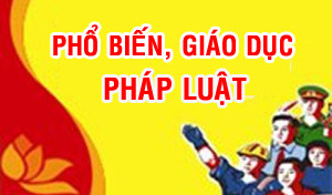 Tổ chức cuộc thi “Sáng kiến, mô hình phổ biến, giáo dục pháp luật hiệu quả thông qua hoạt động văn hóa ở cơ sở”