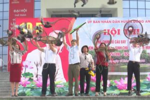 Hội thi thả chim bồ câu truyền thống huyện Đông Anh