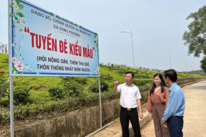 Kiểm tra, chấm điểm cuộc thi “Giữ gìn ngõ phố xanh, sạch, trang hoàng đường phố đẹp” tại 2 huyện Hoài Đức, Đan Phượng