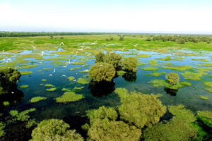 Triển lãm “Tuần Văn hóa Du lịch Di sản xanh- Nơi gặp gỡ con người và thiên nhiên”
