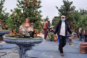 Phát triển nền du lịch xanh, gắn kết di sản ở Thủ đô
