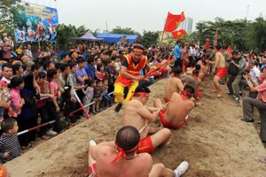 Tổ chức Liên hoan trình diễn di sản phi vật thể được UNESCO ghi danh