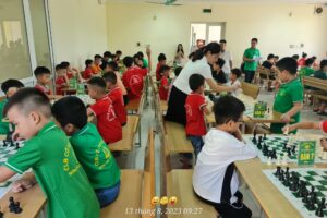 Giải cờ vua hè mở rộng