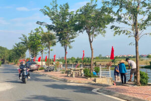 Xã Đông Lỗ xây dựng Nông thôn mới kiểu mẫu