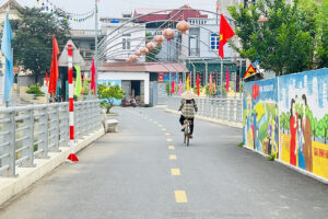 Phong trào “Xây dựng và giữ gìn thôn, xóm, ngõ sáng xanh sạch đẹp an toàn” đã mang lại một môi trường nông thôn đáng sống