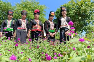  “Hương xuân Tây Bắc” ở Thủ đô