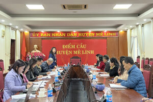 Kiểm tra công tác chuẩn bị tổ chức Lễ kỷ niệm 1984 năm khởi nghĩa Hai Bà Trưng và Lễ hội Đền Hai Bà Trưng năm 2024