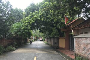 Đường Lâm phát triển du lịch nông nghiệp