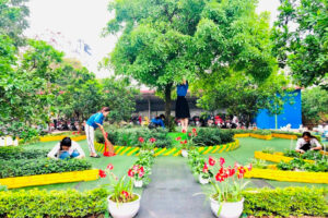 Phát huy vai trò của hương ước, quy ước trong xây dựng đời sống văn hóa ở khu dân cư