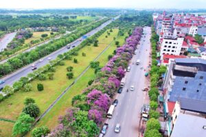 Huyện Đông Anh phát triển nông thôn mới nâng cao gắn với phát triển văn hóa xã hội