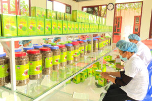 Hội Nông dân huyện Thường Tín tuyên truyền Người nông dân Hà Nội thanh lịch, năng động, sáng tạo, nghĩa tình, kỷ cương
