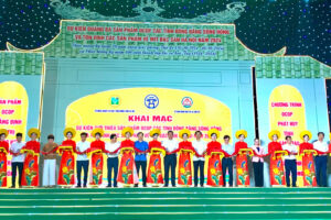 Giới thiệu sản phẩm OCOP các tỉnh Đồng bằng sông Hồng và Tôn vinh các sản phẩm về mít đặc sản Hà Nội năm 2024