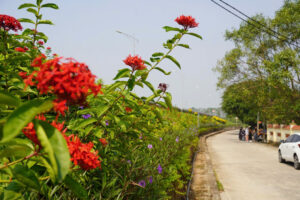 Đan Phượng phát động phong trào thi đua đẩy mạnh Cuộc thi “Giữ gìn thôn, tổ dân phố sáng, xanh, sạch đẹp, an toàn và thông minh” năm 2025