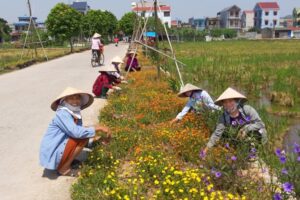 Huyện Sóc Sơn nâng cao đời sống tinh thần của Nhân dân, xây dựng môi trường văn hóa lành mạnh