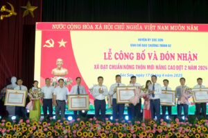 Huyện Sóc Sơn có thêm 7 xã đạt chuẩn nông thôn mới nâng cao