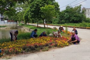 Huyện Ứng Hòa: Nhiều mô hình thiết thực học tập, làm theo Bác