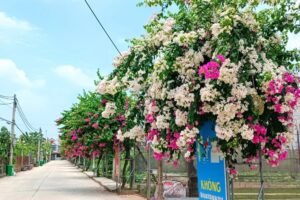 Nhiều kết quả trong xây dựng đời sống văn hóa