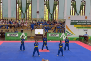Thị xã Sơn Tây giành Huy chương Vàng tại Giải Vovinam học sinh toàn quốc