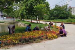 Xã Ứng Hòa triển khai cuộc thi “Sáng – Xanh – Sạch – Đẹp”