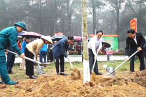 Từ Đồi cây đón Bác, xã Vật Lại hưởng ứng Tết trồng cây đời đời nhớ ơn Người