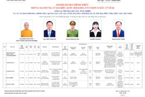 Những người ứng cử Đại biểu Quốc hội khóa XVI ở Đơn vị bầu cử số 6