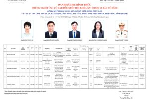 Những người ứng cử Đại biểu Quốc hội khóa XVI ở Đơn vị bầu cử số 10