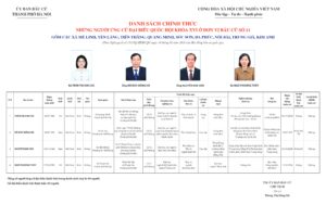 Những người ứng cử Đại biểu Quốc hội khóa XVI ở Đơn vị bầu cử số 11
